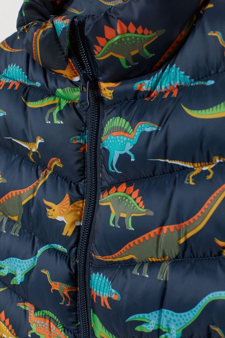 h and m dinosaur jacket